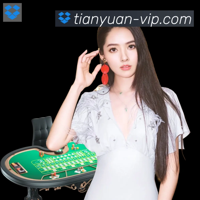 对战数据统计